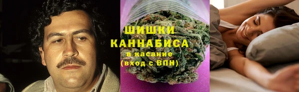 2c-b Новодвинск