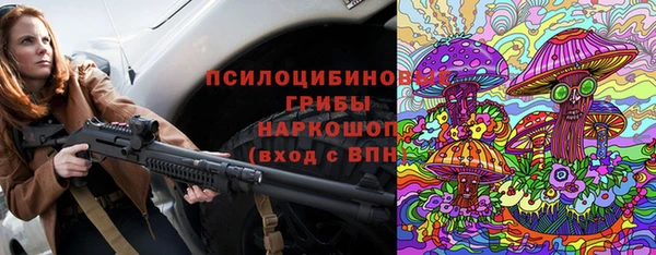 прущие крисы Няндома