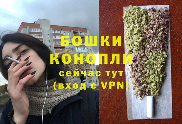 прущие крисы Няндома