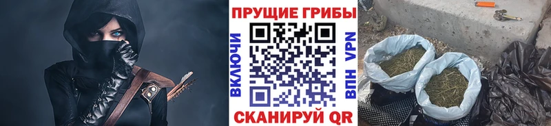 Галлюциногенные грибы GOLDEN TEACHER  купить наркотики сайты  Лабинск 