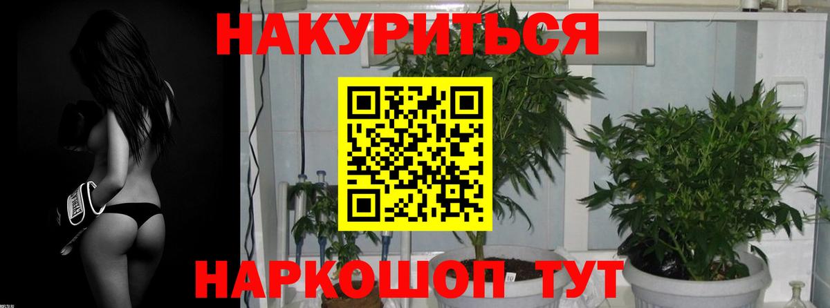 МАРИХУАНА индика  Бошки Шишки White Widow  Лабинск  Вход с VPN  Конопля тримм 
